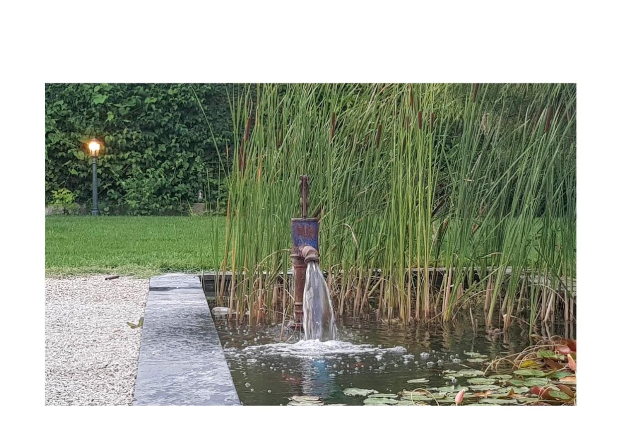La Maison D Alys Cabannes Buitenkant foto